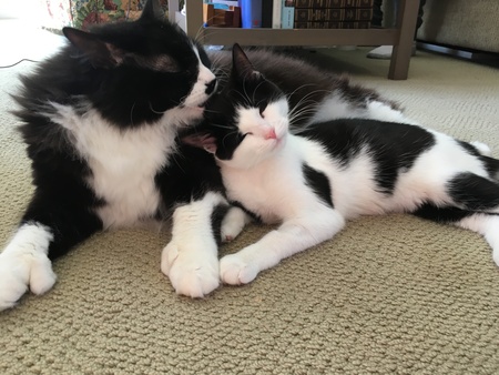 Harrison and Penelope (Harry & Pipi)