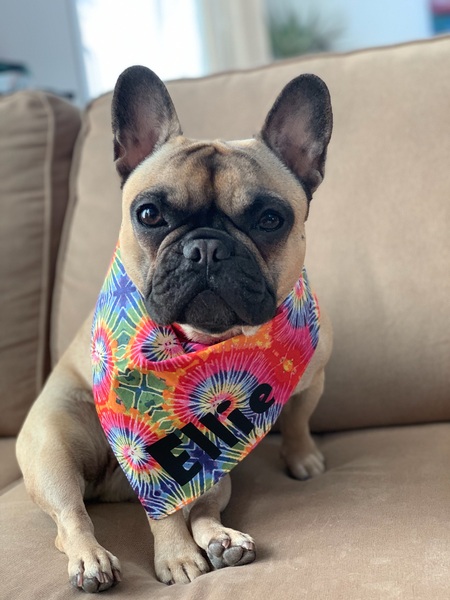 ELLIE