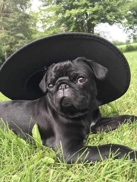 Nugget