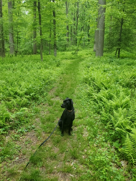 Ellie