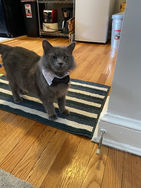 Gus