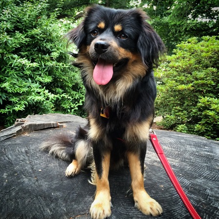Bailey