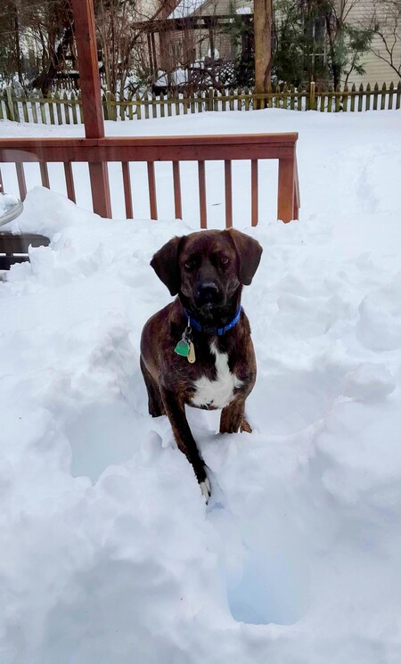 Milo