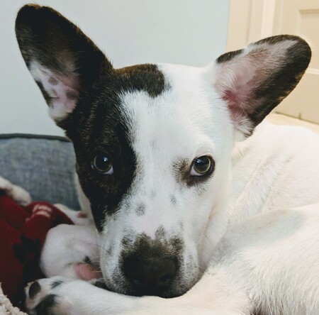 Murray
