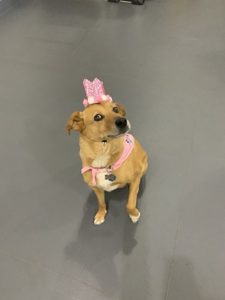 Lola