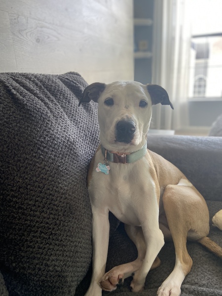 Stella (FKA Hela)