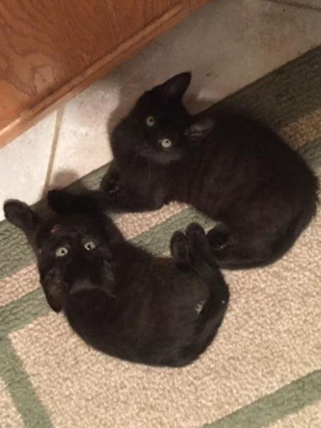 Margaret & Dahlia