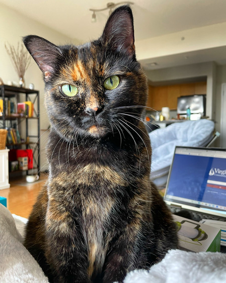 Priscilla