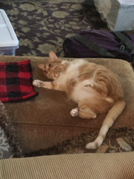 Sawyer