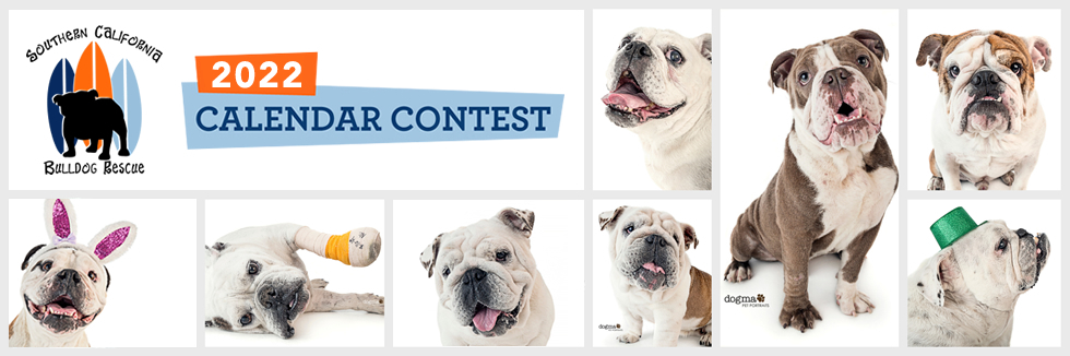 Banner for No Bulldog Left Behind 2022 Calendar Contest
