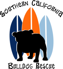 Logo for No Bulldog Left Behind 2022 Calendar Contest