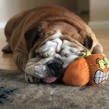 Entry image for Chubbs