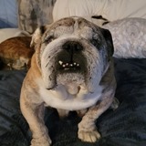 Entry image for Rosie 