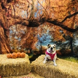 Entry image for Emma aka MnM 