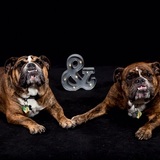 Entry image for Cinnamon & Pepper