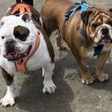 Entry image for Buster & Wilbur