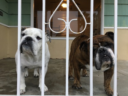 Entry image for Crash and Patty. Clicking this image will show a larger photo