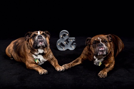 Entry image for Cinnamon & Pepper. Clicking this image will show a larger photo