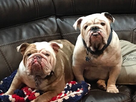 Entry image for Xena and Hercules. Clicking this image will show a larger photo