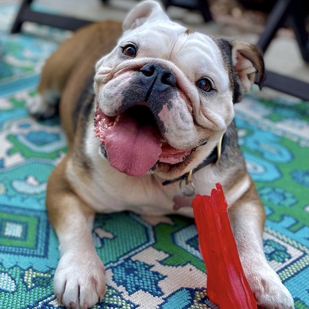 Entry image for Luigi (Lou). Clicking this image will show a larger photo