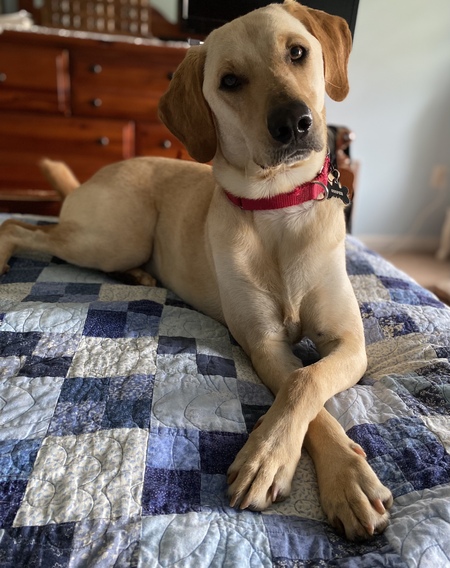 Cooper 