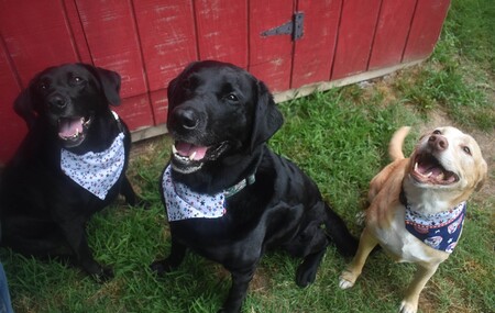 Jax, Linc, & Glory