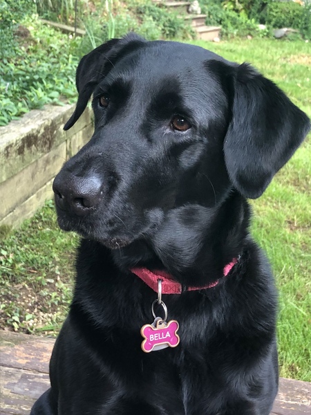 Bella