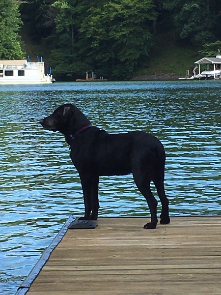 Jackson