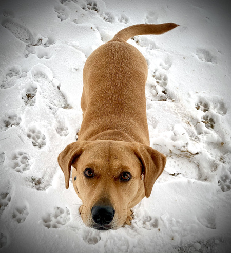 Zoey