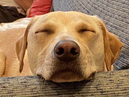 Maggie