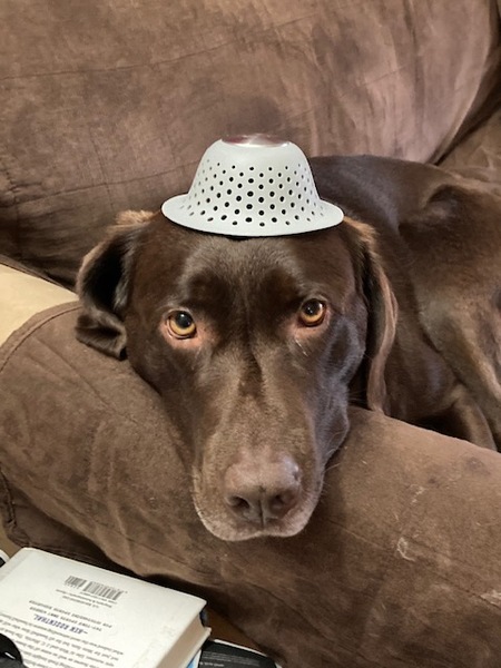 Hershey