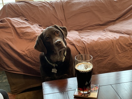 Guinness