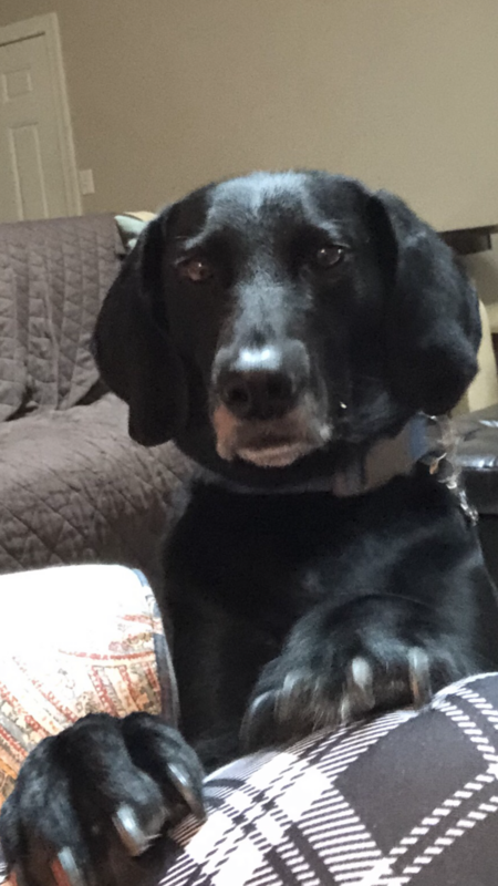 Charlie