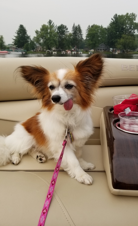 Bella