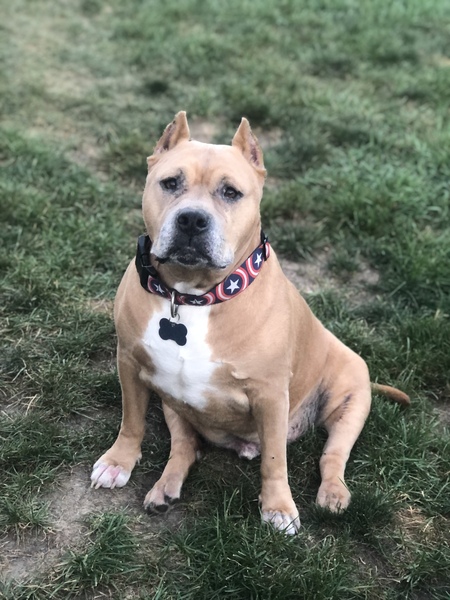 Max