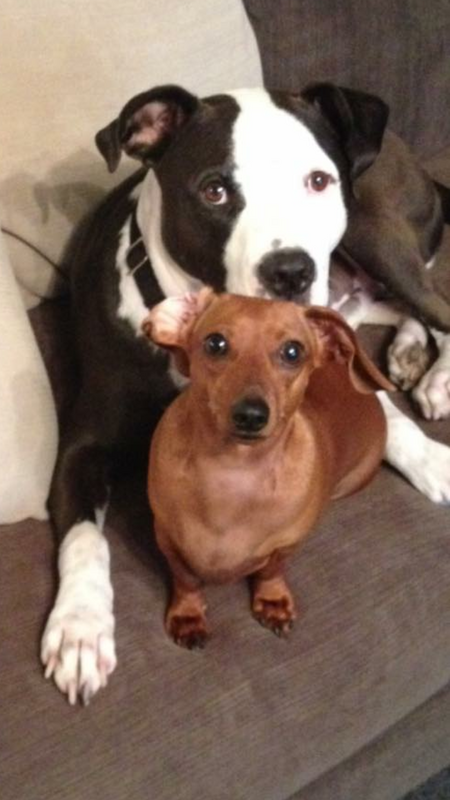 Duke & Honey