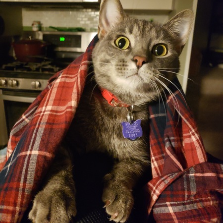 Dexter