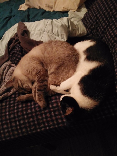 Bubble & Squirt
