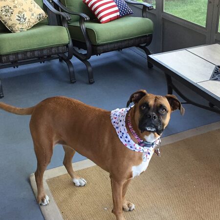 Millie