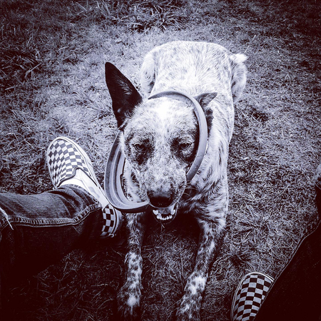 Luna