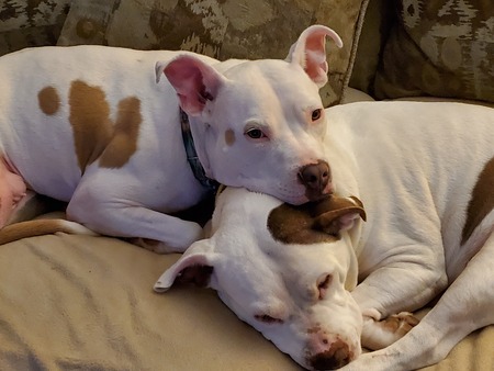 Leia and Charity