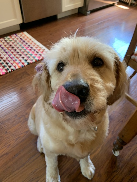 Mia