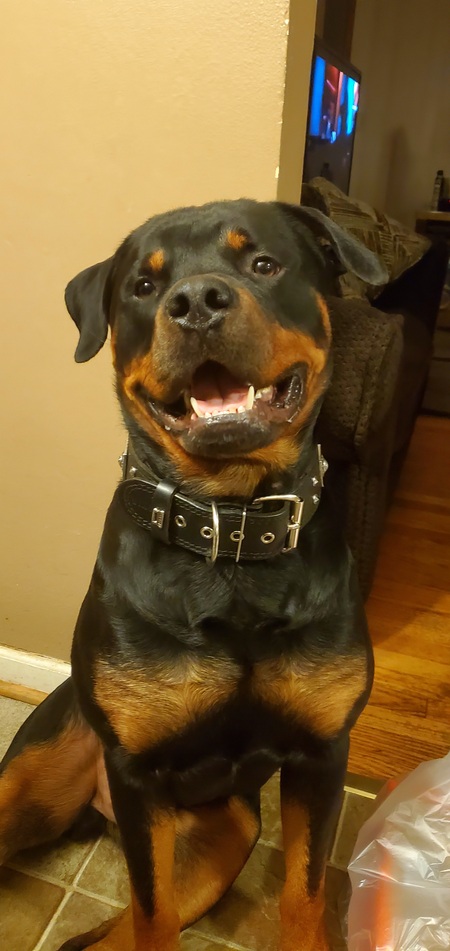 Django 