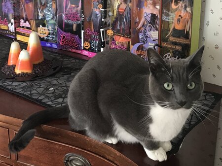 Sam