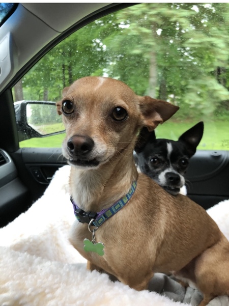 Ernie and Jesse
