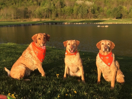 Cooper, Mason & Storm