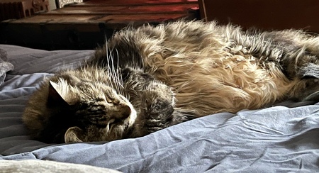 Marley