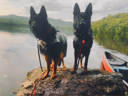 Hugo and Brynne