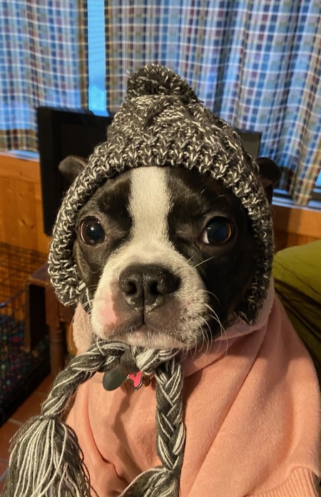 Stella