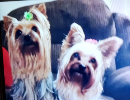 Lacee & Mattie